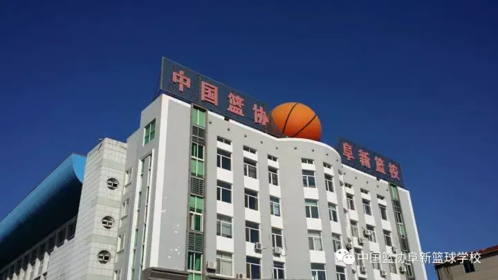 通过理疗改善篮球运动员的肌肉恢复方案_2